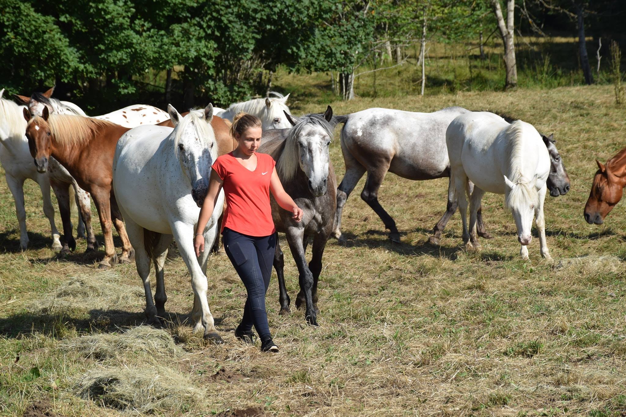 Cavalière sur son cheval