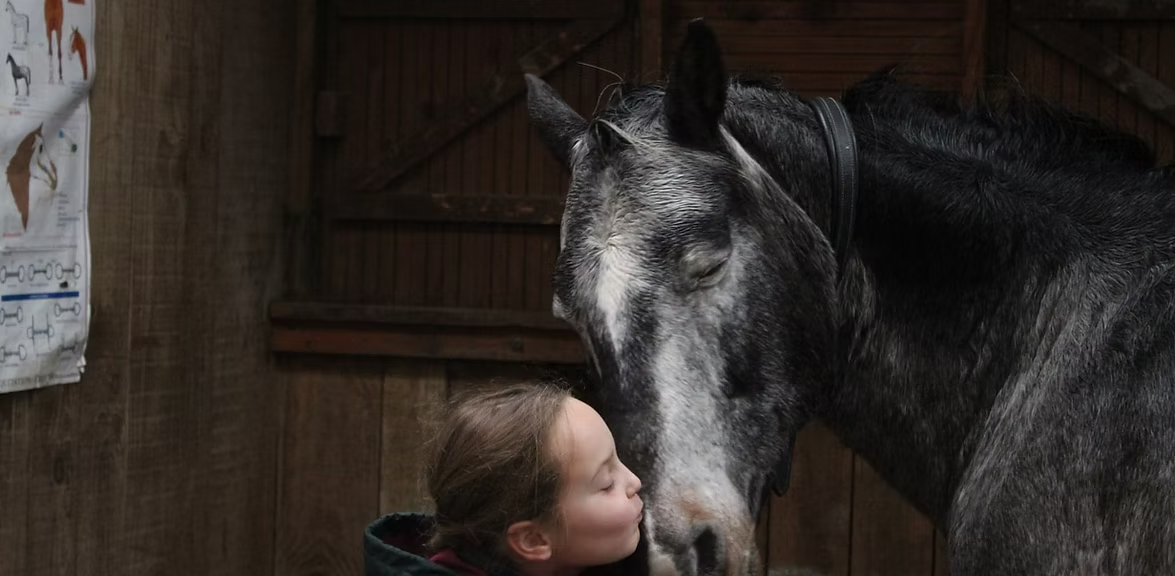 Tendresse entre une enfant et un cheval au centre équestre