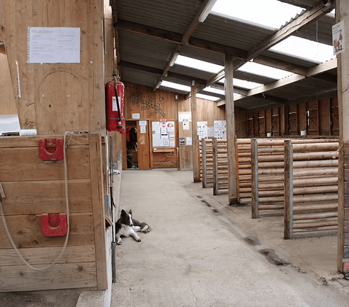 Écurie du centre équestre Équitapassion où sont soignés les chevaux de l'association Kalinka