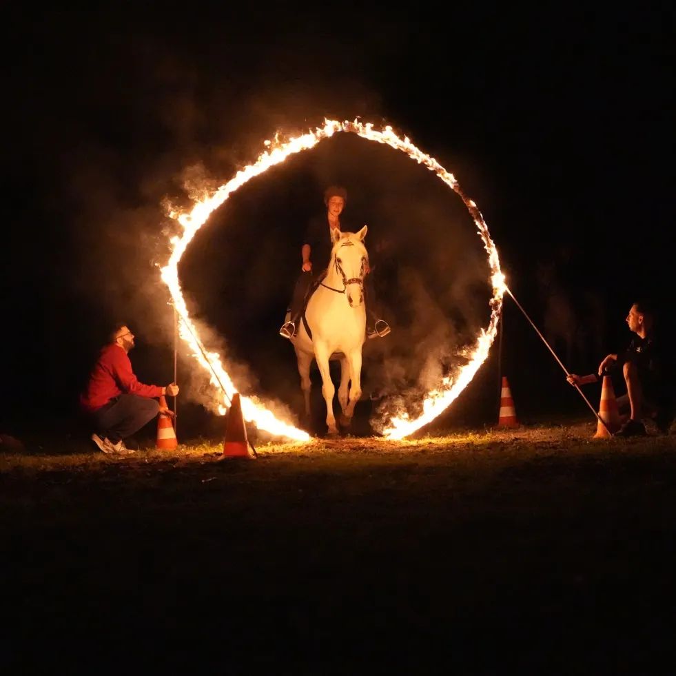 Fête du cheval à ÉquitaPassion