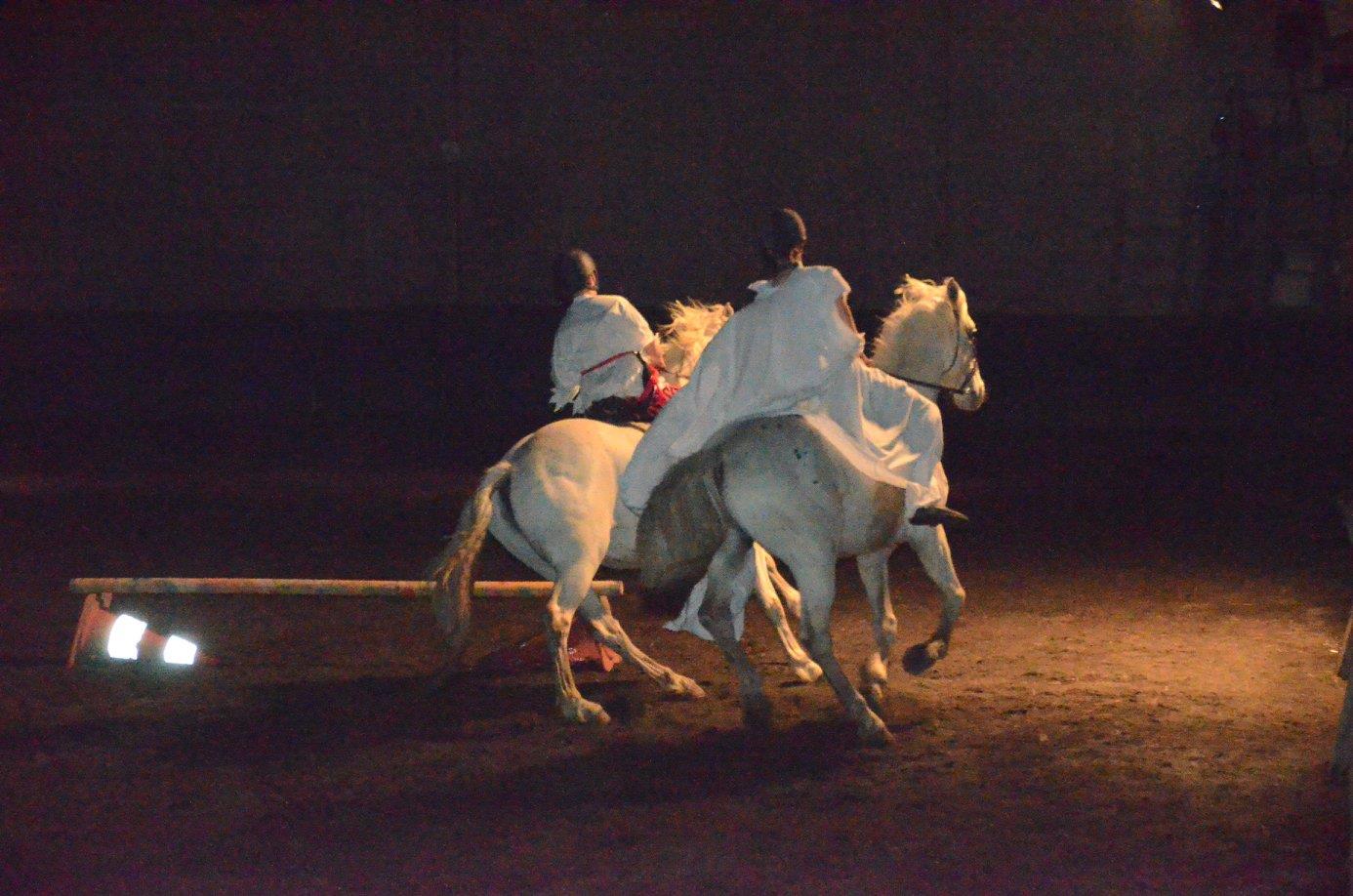 Fête du Cheval au Centre Équestre Équitapassion