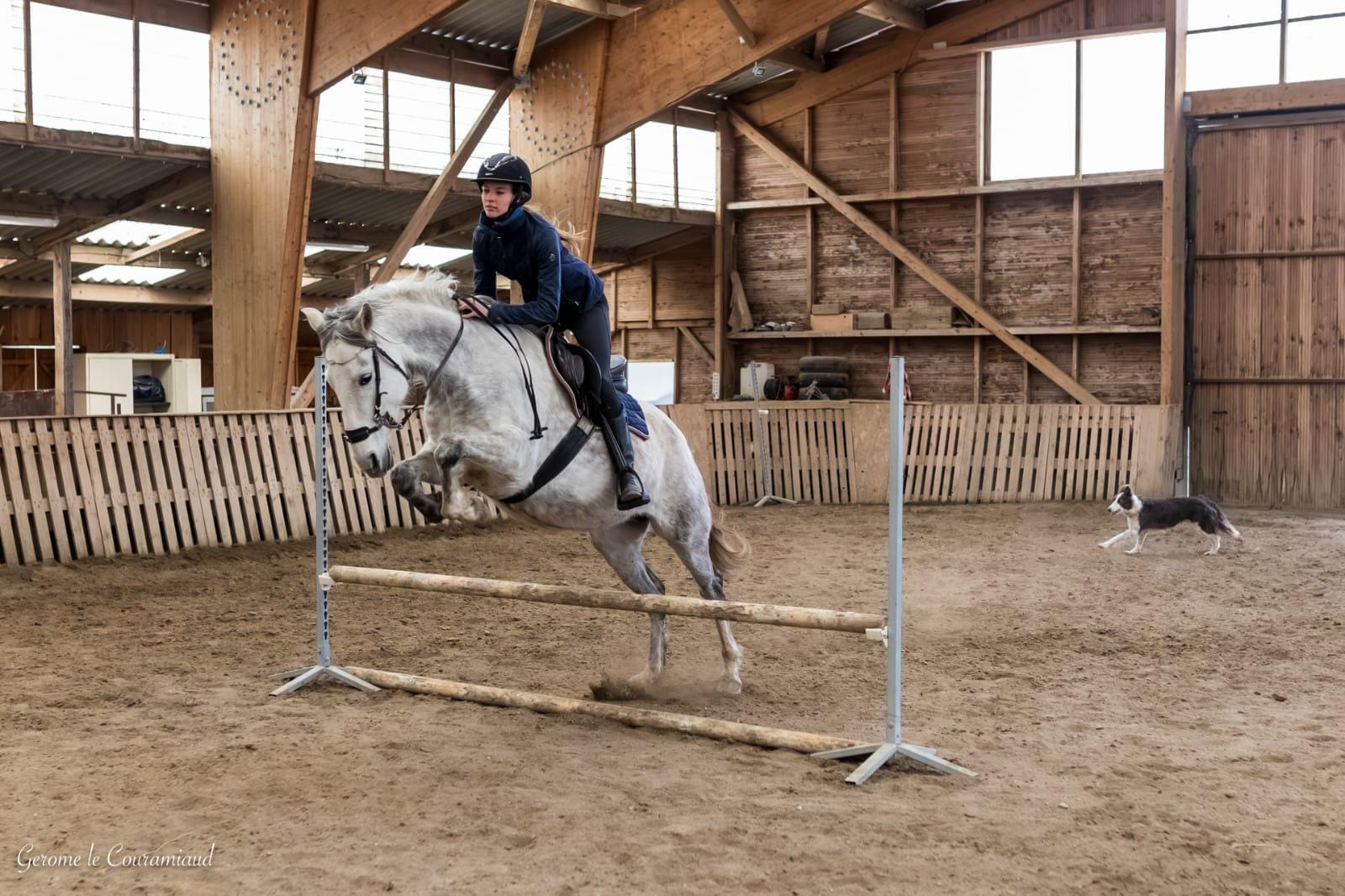 Saut d'obstacle