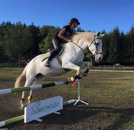 Cours d'équitation à Saint-Agrève : à quel âge commencer ?