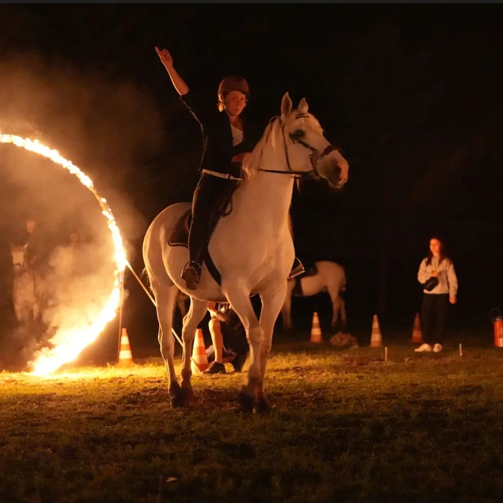 La Fête du Cheval 2026 à Saint-Agrève : le programme de la journée