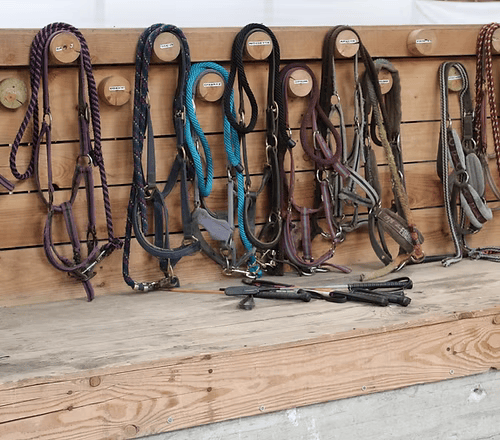 Quel équipement prévoir pour monter à cheval ?