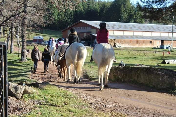 Stages d'équitation pendant les vacances scolaires en Ardèche